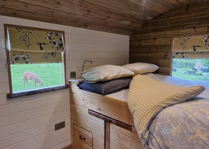Syke Farm Campsite - Yurt\'S And Shepherds Hut